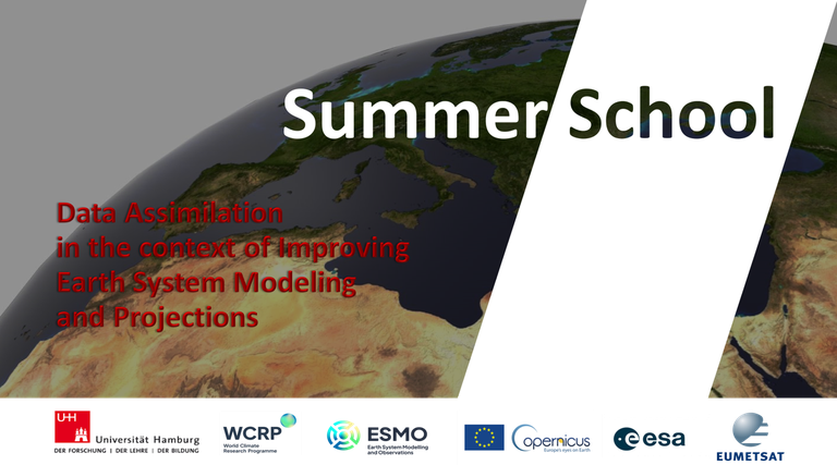 Deadline approaching: Summer school on Data Assimilation at the University of Hamburg